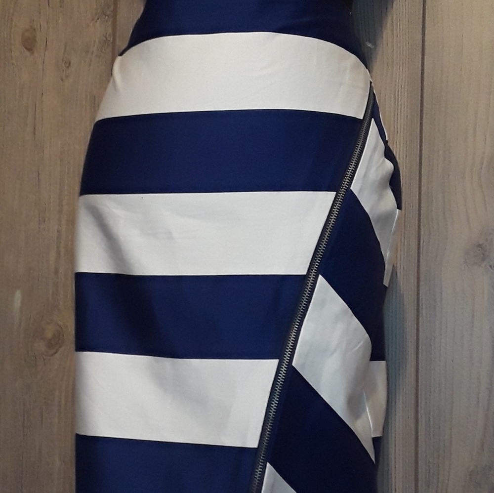 Navy and White Skirt